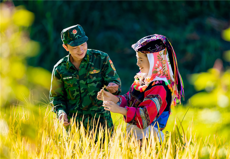 Tình quân dân (tác giả: Đỗ Duy Liêm)