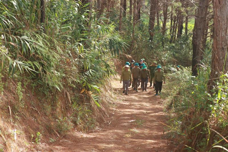 Đồng chí Nguyễn Văn Châu - Bí thư Huyện ủy cùng lãnh đạo UBND huyện và các cơ quan chức năng kiểm tra thực tế tại các tiểu khu - lâm phần do Ban quản lý rừng phòng hộ Phi Liêng quản lý