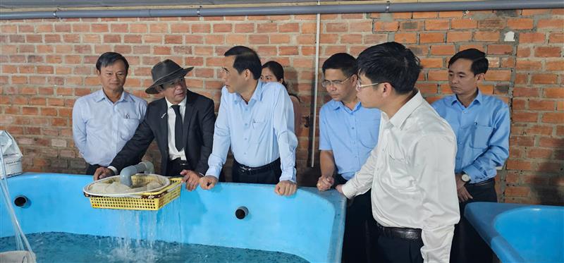 Đồng chí Quyền Bí thư Tỉnh ủy đi thăm mô hình nuôi cá tầm của doanh nghiệp trên địa bàn xã Rô Men