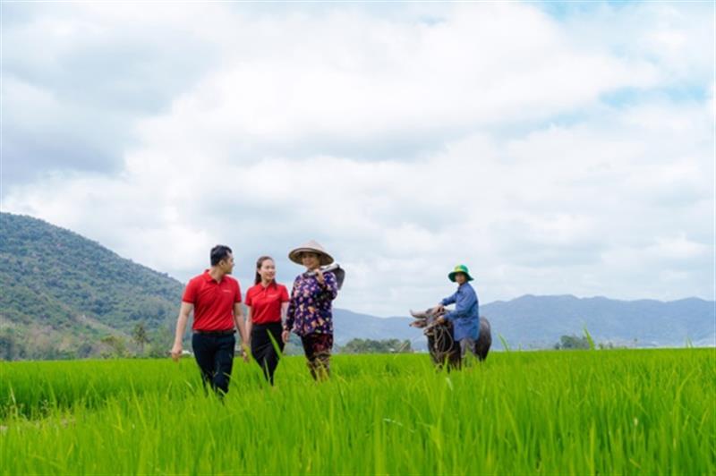 Cho vay trực tiếp đến hộ nông dân, hướng đi thành công tạo dấu ấn, bản sắc của Agribank