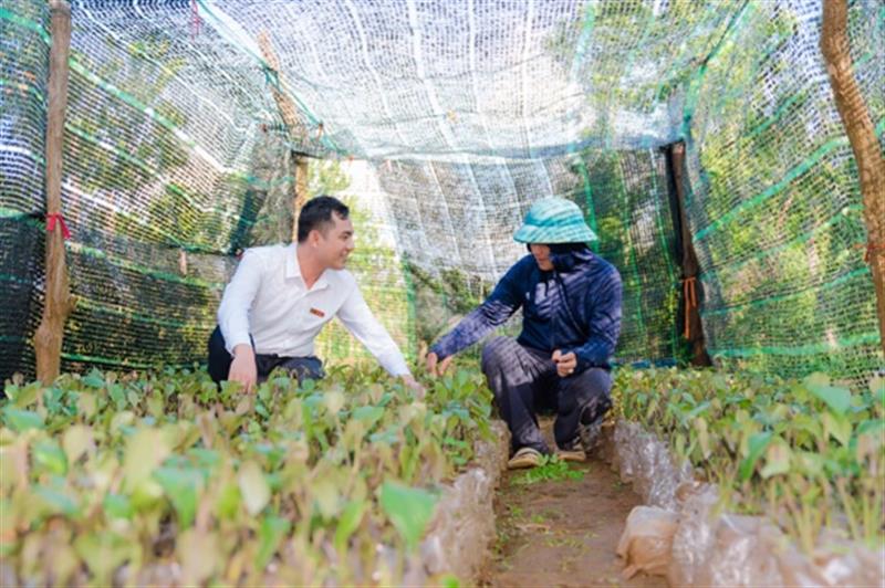 Agribank đóng góp vào thành công của Chương trình xây dựng Nông thôn mới, cải thiện đời sống của nhân dân ở khu vực nông thôn