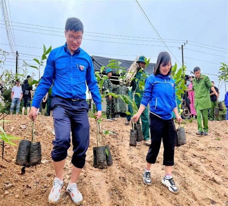 Đoàn viên, thanh niên, lực lượng vũ trang tích cực trồng cây sau lễ Phát động