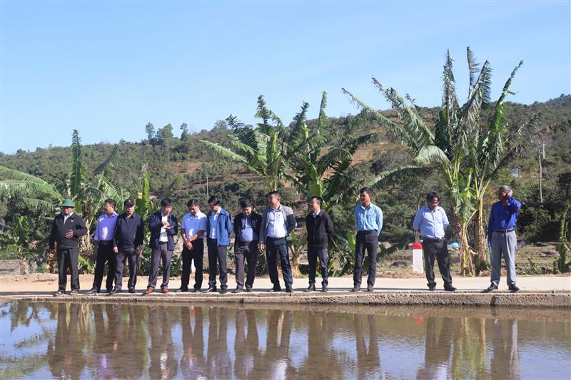 Đồng chí Nguyễn Văn Châu - Bí thư Huyện ủy kiểm tra tình hình sản xuất lúa nước tại cánh đồng thô Mê Ka, xã Đạ Tông