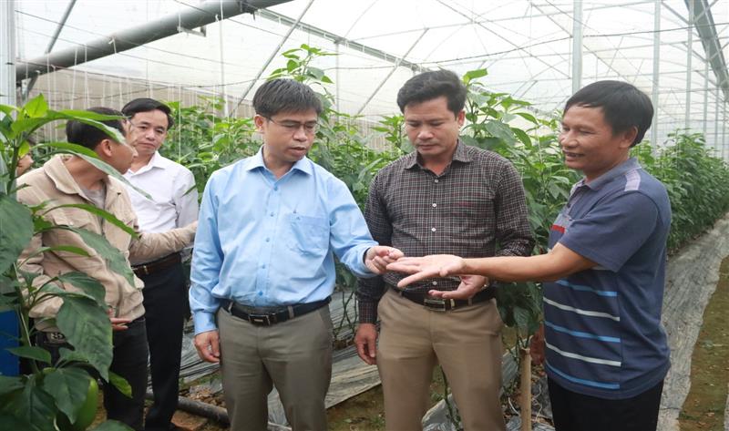 Đồng chí Bí thư Huyện ủy đi thăm thực tế một số mô hình phát triển kinh tế tiêu biểu trên địa bàn xã Phi Liêng