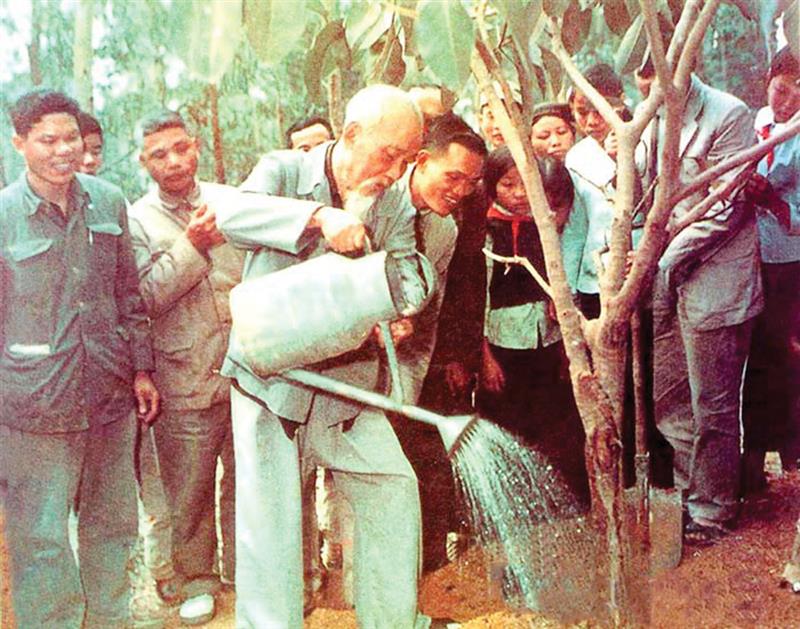 Bác Hồ trồng cây đa tại xã Vật Lại, Ba Vì, Hà Tây (nay là Hà Nội) ngày 16/2/1969. Ảnh: Tư liệu