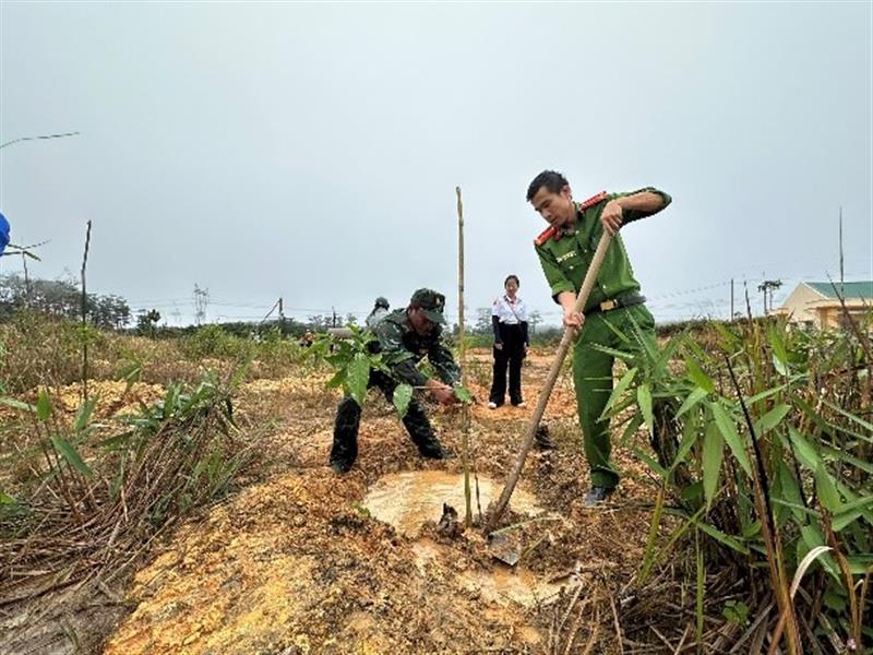 Đoàn viên, thanh niên, lực lượng vũ trang tích cực trồng cây sau lễ Phát động