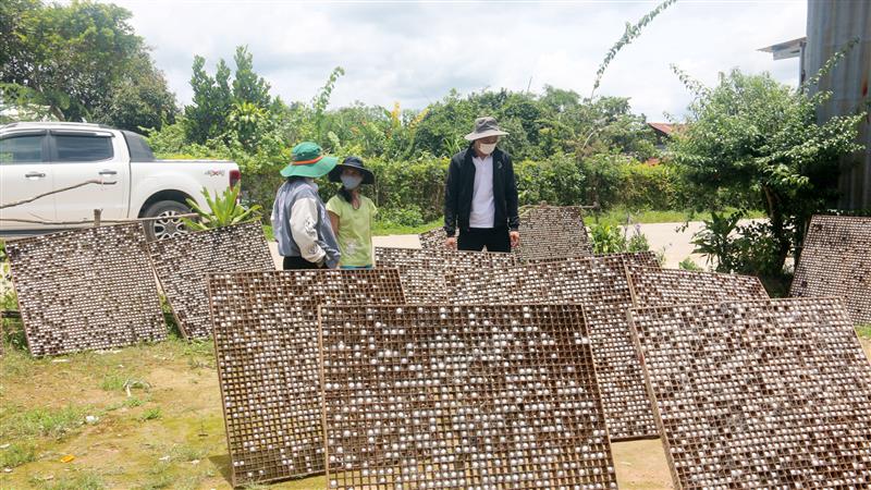 Nhờ chuyển đổi diện tích cây trồng kém hiệu quả sang trồng dâu, nuôi tằm, nhiều hộ nghèo ở huyện Đam Rông nay đã thoát nghèo