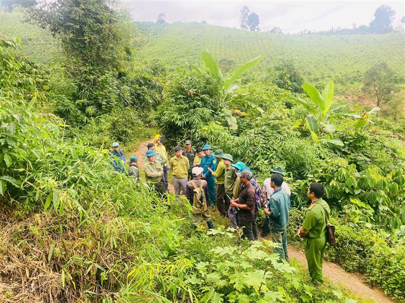 Đồng chí Nguyễn Văn Châu - Bí thư Huyện ủy yêu cầu lực lượng chức năng và cấp ủy, chính quyền địa phương tiếp tục triển khai các giải pháp đồng bộ để quản lý, bảo vệ rừng.jpg