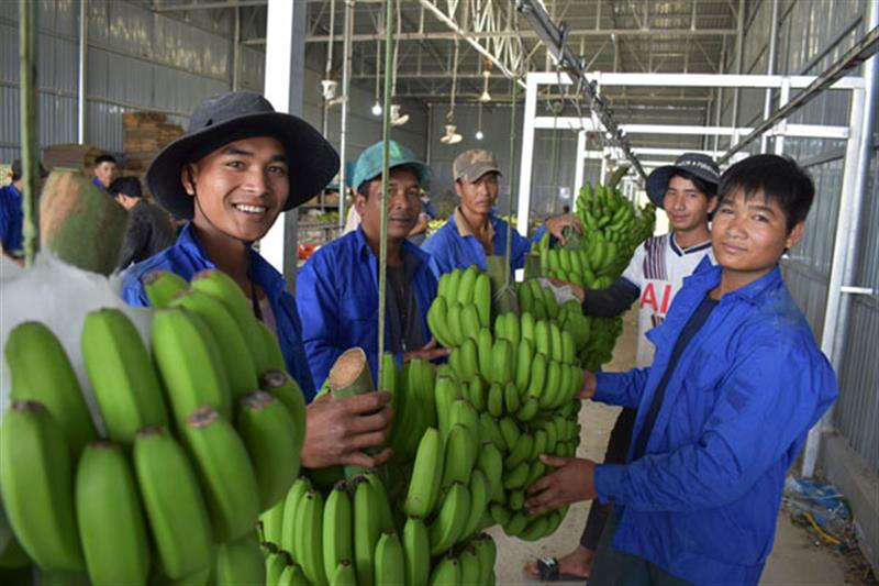 Mô hình phát triển kinh tế của huyện