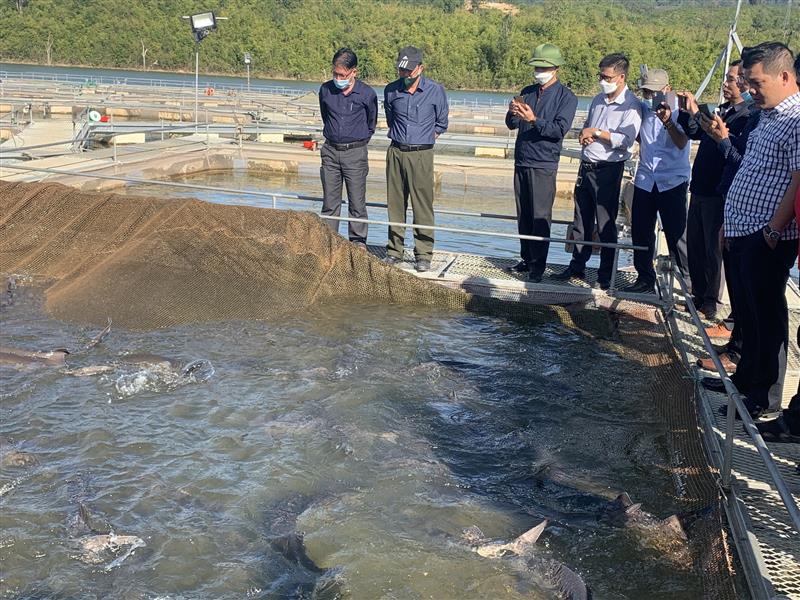  Đồng chí Nguyễn Văn Lộc, Tỉnh ủy viên, Bí thư Huyện ủy, Chủ tịch HĐND huyện thăm mô hình nuôi cá tằm tại Công ty TNHH Royal Fish - thôn Đa Nhinh 2 - xã Đạ Tông