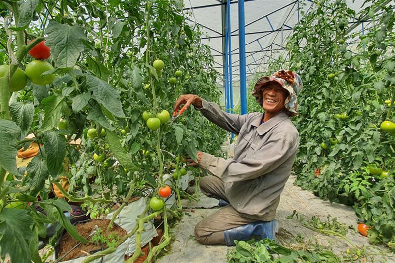 Việc thực hiện Chỉ thị 05 đã góp phần thúc đẩy phong trào thi đua, lao động sản xuất trên địa bàn huyện Đam Rông 
