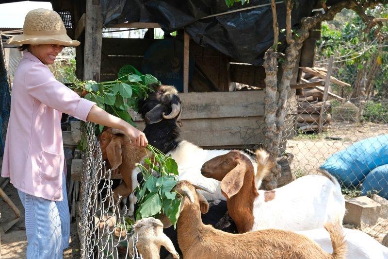 Đa dạng hóa sinh kế là một trọng những giải pháp quan trọng trong giảm nghèo ở Lâm Đồng.jpg Đa dạng hóa sinh kế là một trọng những giải pháp quan trọng trong giảm nghèo ở Lâm Đồng.jpg